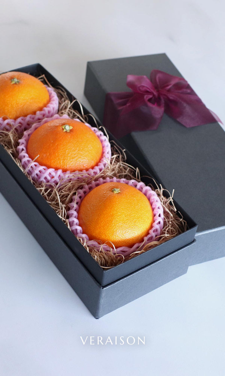 BENI_T004_1200x1200.jpg?v=