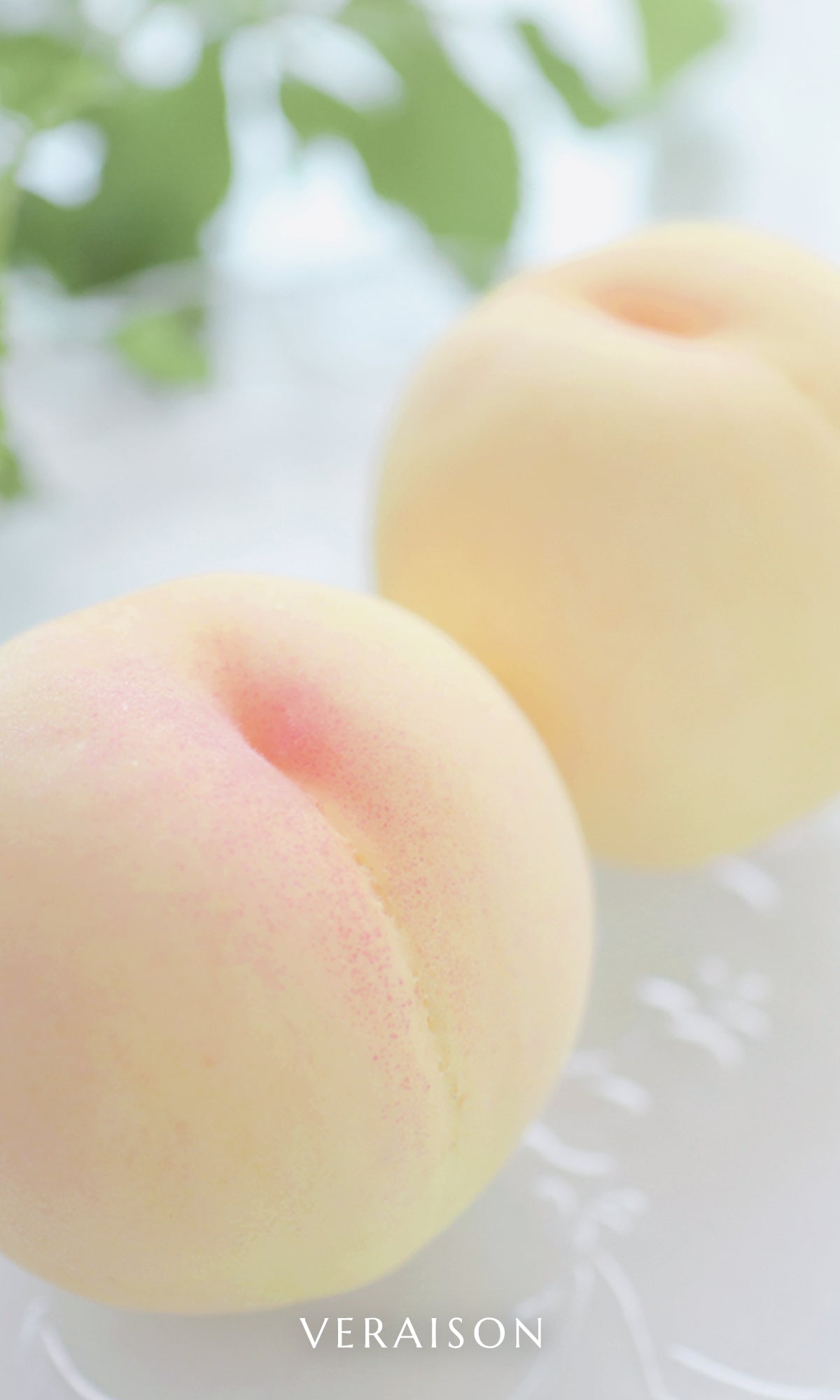 白桃 岡山県産 白桃 白鳳・白麗・瀬戸内白桃 ご家庭用 1.5kg,4kg